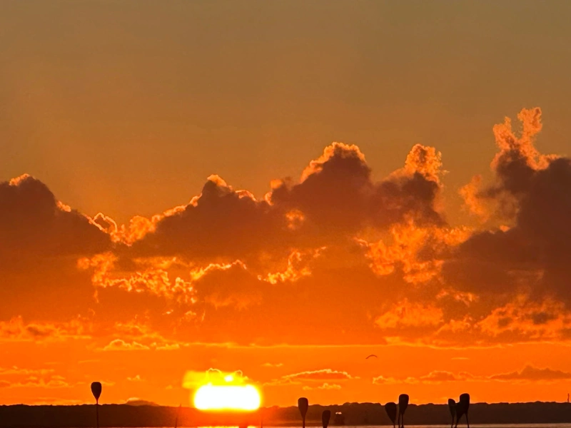 Remada do Nascer do Sol