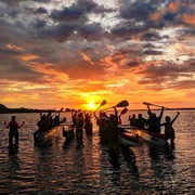 Remada do Por do Sol + Revoada dos Guarás