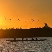 Remada do Por do Sol + Revoada dos Guarás